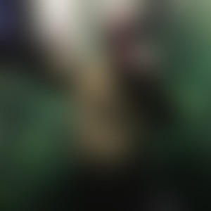 Ｆｏｒｅｖｅｒ Ｏｎ Ｍｙ Ｍｉｎｄ