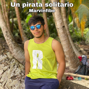 Un Pirata Solitario