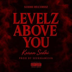 Levelz Above You