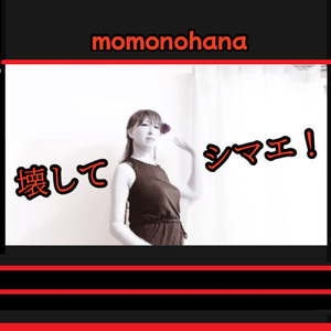 壊してシマエ！