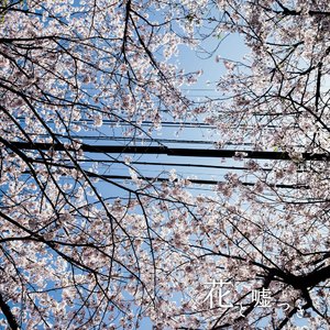 花と噓つき