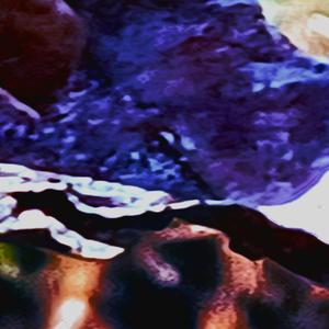 trotventurs1 slicked