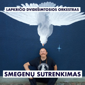 Smegenų Sutrenkimas