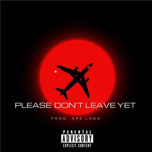 Please Don't Leave Yet