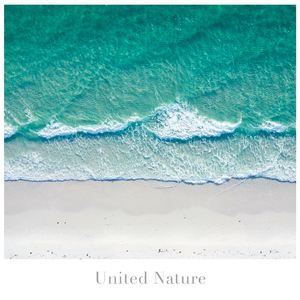 Beach House (Forest)