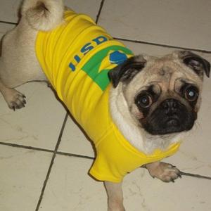 dinheiro no bolso (#67k Remix)