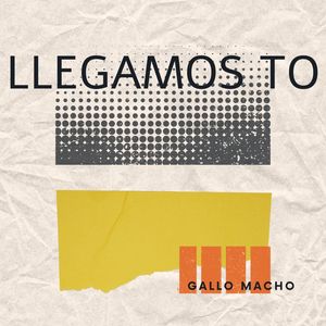 llegamos to