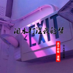 泪水打湿我的梦