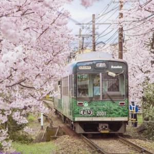 さくら ~あなたに出会えてよかった~（樱花樱花想见你）（翻自 高野健一）