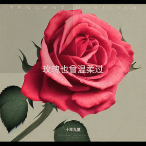 玫瑰也曾温柔过
