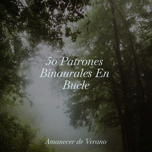 Canción de Cuna del Vagabundo Indomable