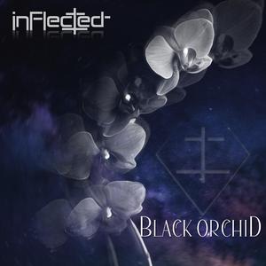 Black Orchid