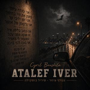 עטלף עיוור