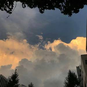 桃 花 源 里 遇 故 人