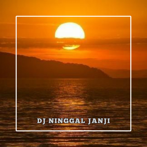 Ninggal janji