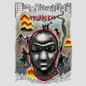 Manifesto Insurgente