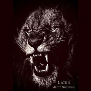 How Ya Feel (feat. Zain Suleman)