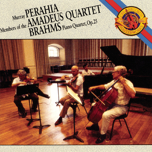 Quartet No. 1 in G minor for Piano and Strings, Op. 25:IV.  Rondo alla zingarese.  Presto