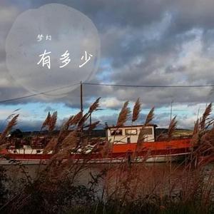 有多少（翻自 王帅帅）