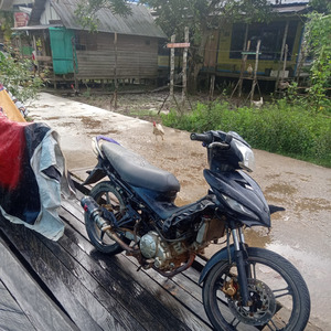 Jungle Dutch (Remix)