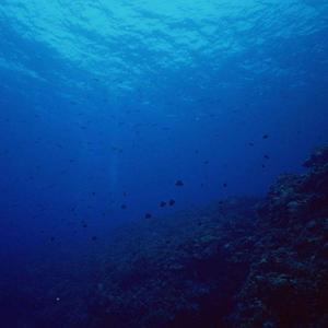 I believe ～海の底から～