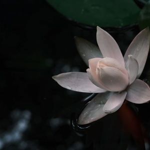 平静的幸福也该轮到我们了