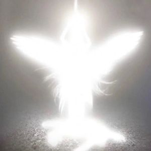 致（prod by FRESH_ye）