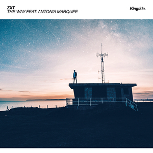 The Way (Original Mix)