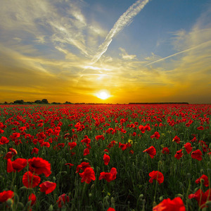 מיינדפולנס תרגול סריקת גוף משולב תנועה 15 דקות