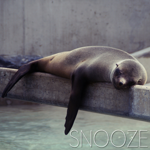 많은 운동을 합시다