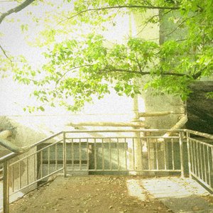 I Remember the Light