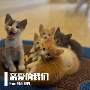 亲爱的女孩