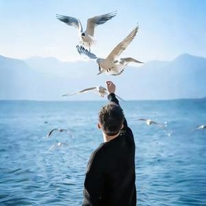 甘心替代你（仿佛天和地在挑选我跟你）（Cover 郑伊健）