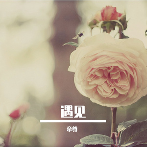 遇见