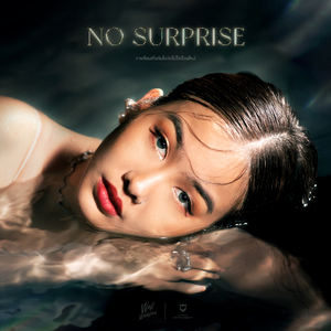 การที่เธอทิ้งกันไปมันไม่ใช่เรื่องใหม่ (No Surprise)