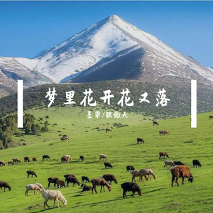 梦里花开花又落