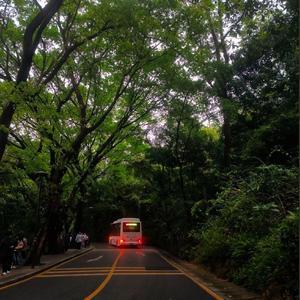 溺水三千(笛声版）