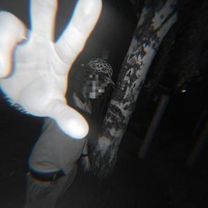 Pulse