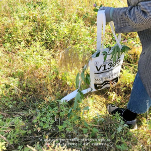 탄천블루스 (연습용)