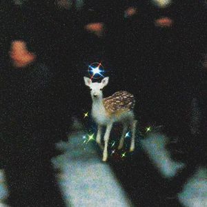 《极简琴音白噪间的