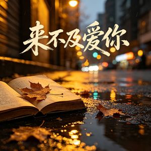 来不及爱你
