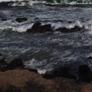 信号灯（清唱版）