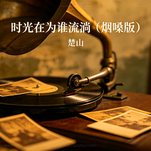 时光在为谁流淌(烟嗓版)