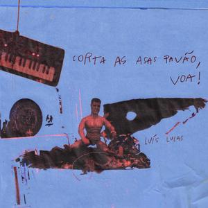 DIABRURAS (feat. BOSA)