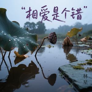 相爱是个错（我们没结果）