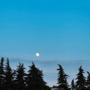 谁不是一边崩溃一边自愈