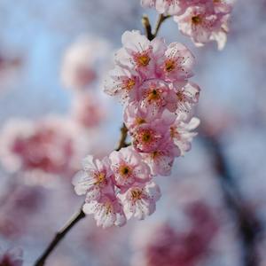 【FREE】Lo-fi Storytelling Beat