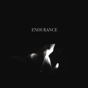Endurance