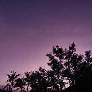 感谢你曾来过