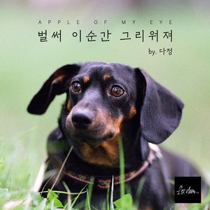 벌써 이 순간 그리워져